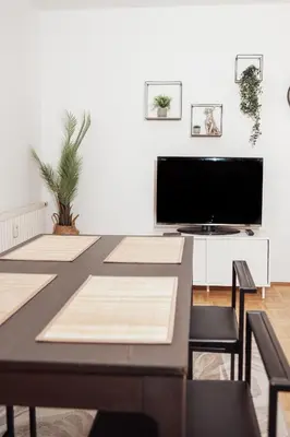 TV/Unterhaltungsangebot in der Unterkunft Buergerspitalgasse Zentrale Wohnung am Westbahnhof