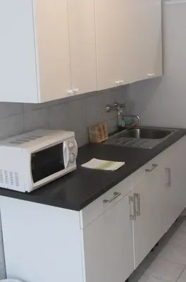 Küche/Küchenzeile in der Unterkunft Apartments Messe-Prater