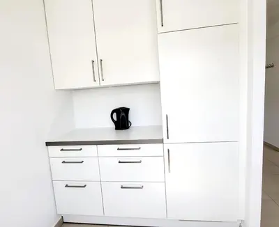 Küche/Küchenzeile in der Unterkunft Apartment Vienna Buchengasse