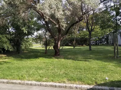 Ein Garten an der Unterkunft Apartment Paradies - U1 Station altes Landgut