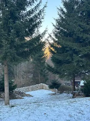 Ruhepol in den Voralpen im Winter