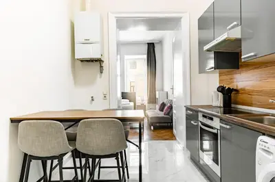 Küche/Küchenzeile in der Unterkunft Apartment Rueppgasse Leopoldstadt Wien