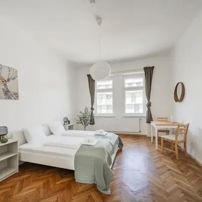 spacious studio in vienna