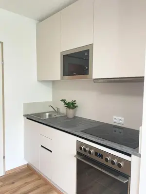 Küche/Küchenzeile in der Unterkunft H2 – Gemütlichkeit in Bad Sauerbrunn!