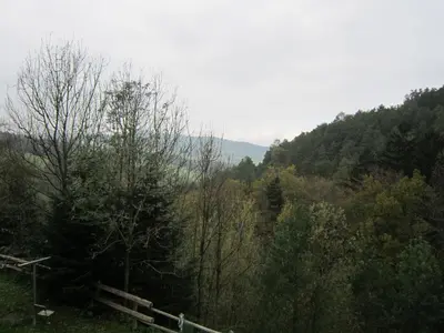 Naturlandschaft in der Nähe der Pension