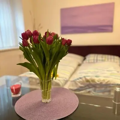 Modern Studio in the Heart of Vienna - Steps from the Opera