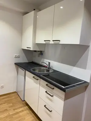 Küche/Küchenzeile in der Unterkunft NeicApartmentLandskron 1010
