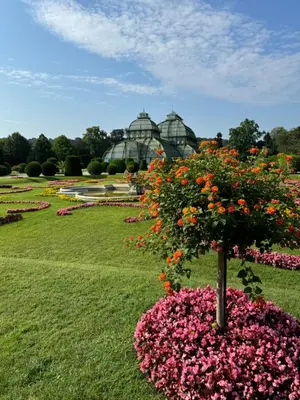 Ein Garten an der Unterkunft City Apartment nahe Schönbrunn 10