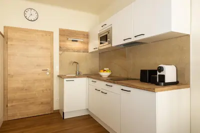 Küche/Küchenzeile in der Unterkunft KonstantLiving Zillingtal, Apartments mit Elektrotankstelle