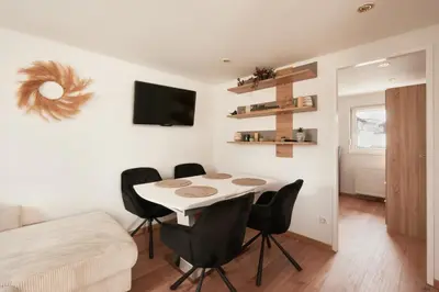 TV/Unterhaltungsangebot in der Unterkunft Luxurious 3BD Villa in Prime Location of Vienna