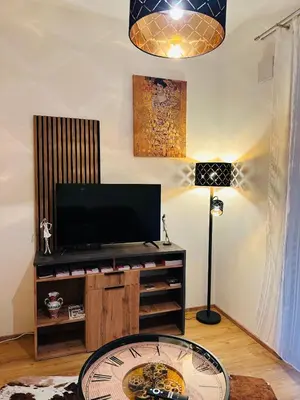 TV/Unterhaltungsangebot in der Unterkunft Schönbrunn Garden Apartments