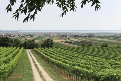 Naturlandschaft in der Nähe des Gasthauses