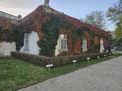 Ein Garten an der Unterkunft Mauthaus Lichtenstein