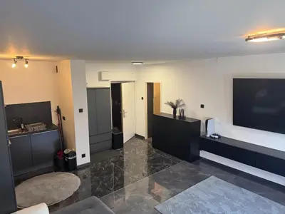 TV/Unterhaltungsangebot in der Unterkunft Apartment Vienna