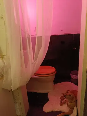 Ein Badezimmer in der Unterkunft Atelier in Vienna Center, no shower, entire place