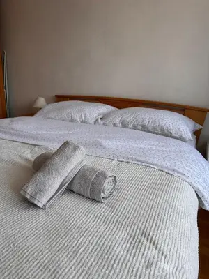 Ein Bett oder Betten in einem Zimmer der Unterkunft Green paradise near Vienna 3 room and balcony