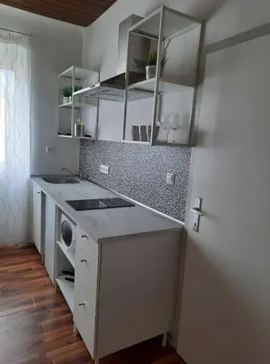 Küche/Küchenzeile in der Unterkunft Das Tulpen Apartment
