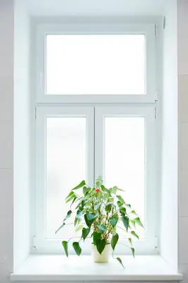 Grundriss der Unterkunft Stadthalle - FamilyCityApartment