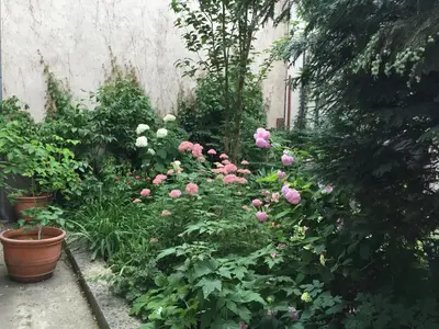 Ein Garten an der Unterkunft Stadthalle - FamilyCityApartment