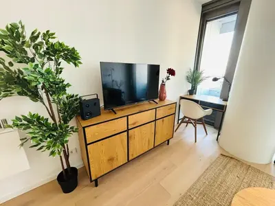 TV/Unterhaltungsangebot in der Unterkunft Modern apartment overlooking the skyline & Danube