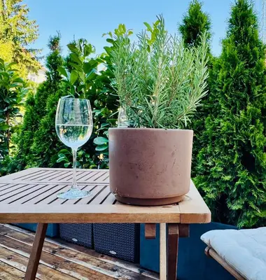 Ein Garten an der Unterkunft Stilvolle Premium-Wohnung mit Klimaanlage und Dachterrasse