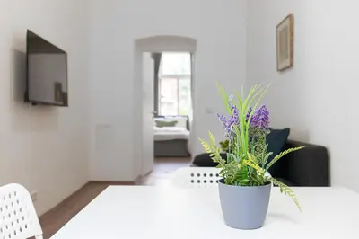 TV/Unterhaltungsangebot in der Unterkunft Amazing 1BR Apt, next to AKH Building for Everyone