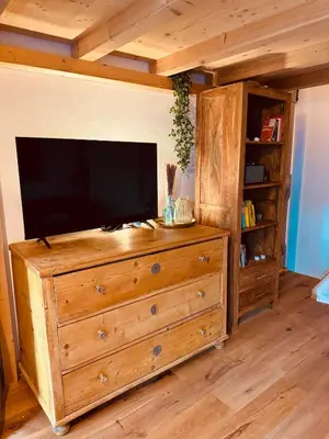 TV/Unterhaltungsangebot in der Unterkunft Urban Hideaway Cozy Loft, Green Courtyard and AC