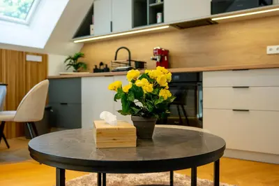 Küche/Küchenzeile in der Unterkunft Luxury Penthouse with Terrace