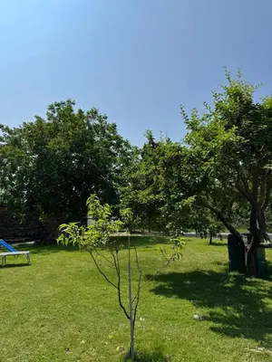 Ein Garten an der Unterkunft Anita Apartment Breitenbrunn Chill And Relax
