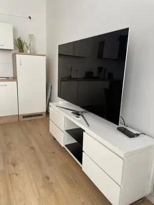 TV/Unterhaltungsangebot in der Unterkunft Modernes City Apartment T2