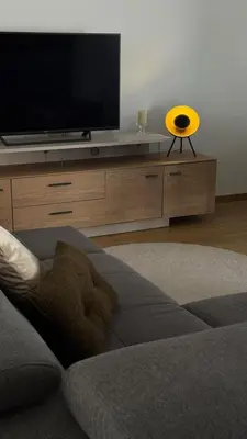 TV/Unterhaltungsangebot in der Unterkunft Apartment Andi Parndorf