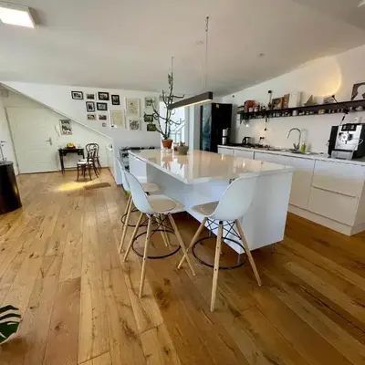 Bright loft 110 sqm with great roof terrace 100 sqm