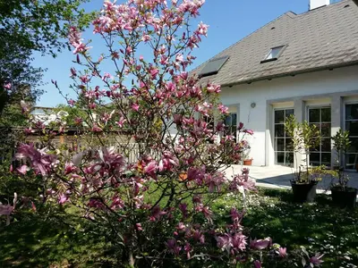 Ein Garten an der Unterkunft Ferienwohnung Heider