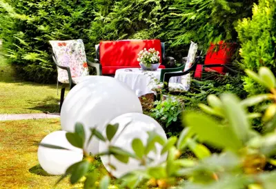 Ein Garten an der Unterkunft Pension Margit