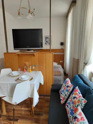 TV/Unterhaltungsangebot in der Unterkunft Cozy small apartment