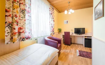 TV/Unterhaltungsangebot in der Unterkunft Hotel garni Steinfeld
