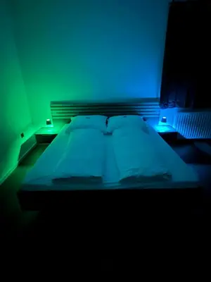 Ein Bett oder Betten in einem Zimmer der Unterkunft Airport Apartment Rauchenwarth