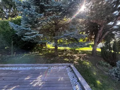 Ein Garten an der Unterkunft Danube Gardens