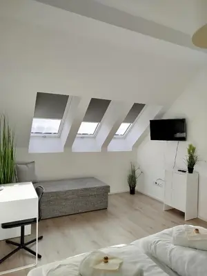 TV/Unterhaltungsangebot in der Unterkunft Luxus Ottakring