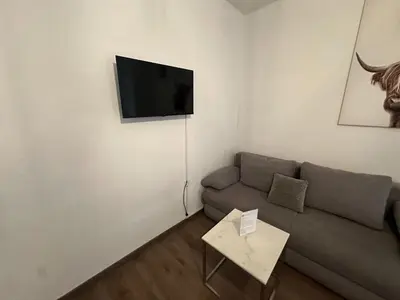 TV/Unterhaltungsangebot in der Unterkunft Quiet centrally located apartment in Vienna