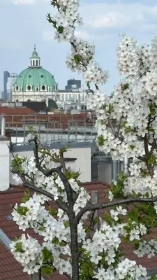Grundriss der Unterkunft QuietCityViews