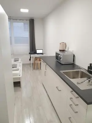 Küche/Küchenzeile in der Unterkunft AKH Apartments