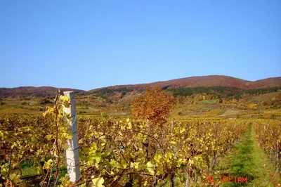 Naturlandschaft in der Nähe des Hotels