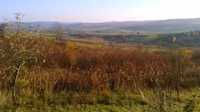 Naturlandschaft in der Nähe des Bauernhofs