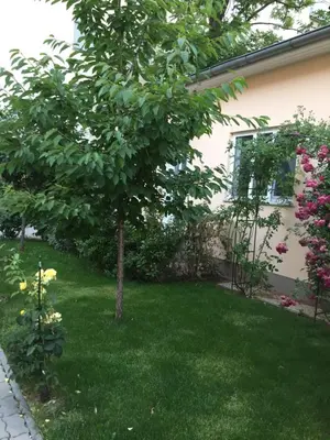 Ein Garten an der Unterkunft Terrasse Wohnungen mit parking in Zentrum