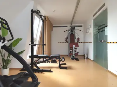 Das Fitnesscenter und/oder die Fitnesseinrichtungen in der Unterkunft RAFAEL KAISER - Premium Apartments City Centre - Contactless Check-In