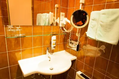 Ein Badezimmer in der Unterkunft Turmhof Breitenbrunn