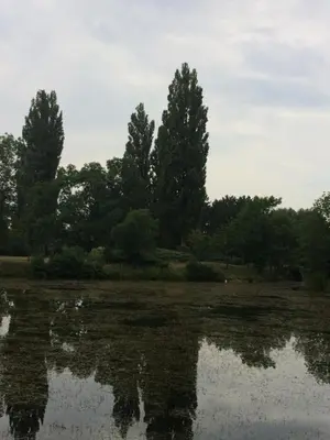 Naturlandschaft in der Nähe der Ferienwohnung