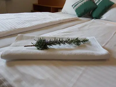 Ein Bett oder Betten in einem Zimmer der Unterkunft Gartenpension Fischl