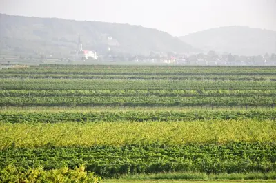 Naturlandschaft in der Nähe der Pension